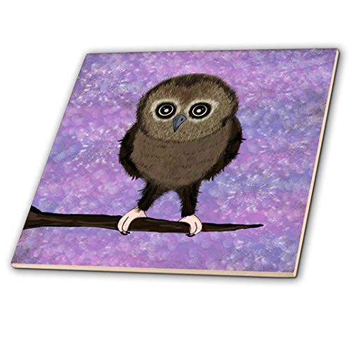 3dRose ct 57121 1 Baby Owls First Adventure Purple Ceramic Tile  4 Inch