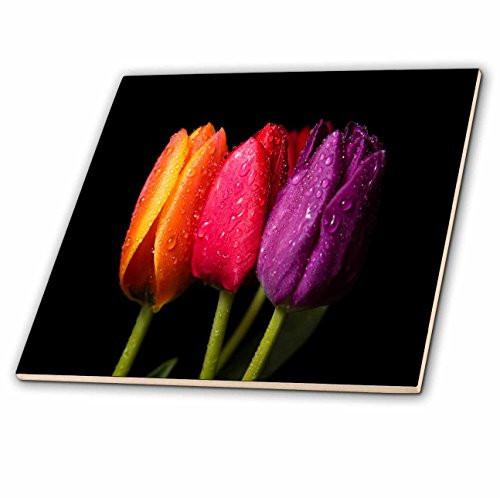 3dRose ct 55226 1 Orange Red N Purple Dew Covered Tulips Ceramic Tile  4 Inch