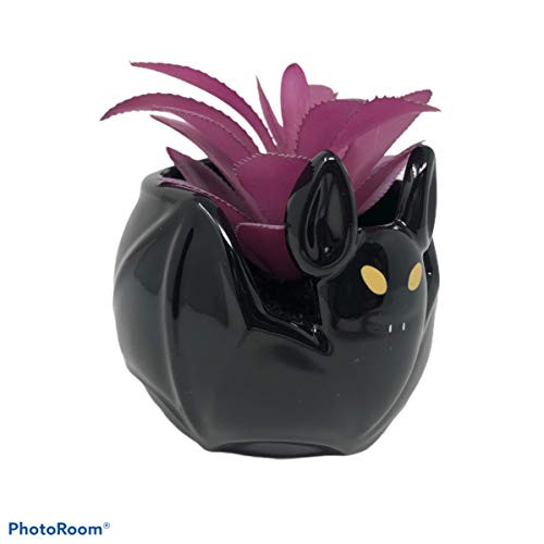Hyde and Eek Boutique Black Bat with Purple Succulent Halloween Decor
