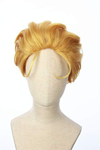 Cosplaywigscom  Dio Brando Wig Inspired of Japanese Anime jojo s bizarre adventure Short Blonde Fullback Prestyled Hair for Adults and Teens