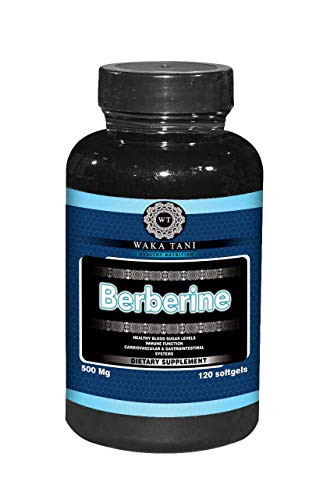 Berberine 500 Mg 120 Capsules  Powerful Blood Sugar Supplement  Supports Insulin   Glucose Sensitivity and Metabolism  Helps The Immune System  Fat Burn  Gastrointestinal   Cardiovascular System