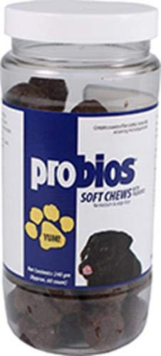 Probios Soft Chews for Medium and Large Dogs  240gm