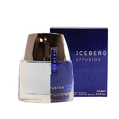 Iceberg Effusion Eau De toilette Spray for Men  2 5 Ounce