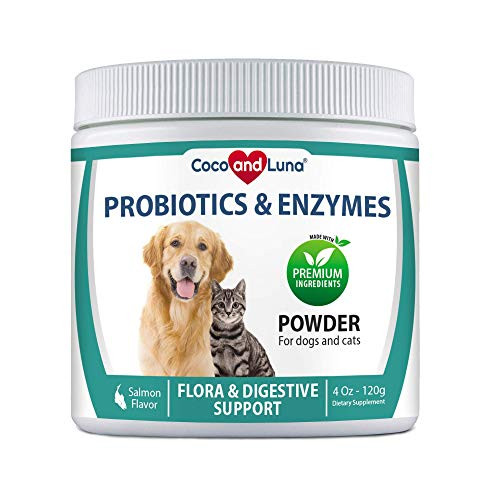 Probiotics for Dogs and Cats  Digestive Enzymes  Diarrhea Treatment for Dogs  Promotes Healthy Stomach and Digestion  Relieves Constipation and Gas   4 Oz Powder  120g