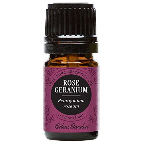 Edens Garden Rose Geranium Essential Oil 100 Pure Therapeutic Grade Skin Care Stress 5 ml Edens Garden Rose Geranium Essential Oil 100 Pure Therapeutic Grade Skin Care Stress 5 ml