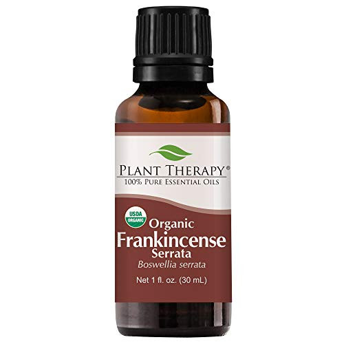 Plant Therapy Frankincense Serrata Organic Essential Oil 100 Pure USDA Certified Organic Undiluted Natural Aromatherapy Therapeutic Grade 30 mL 1 oz Plant Therapy Frankincense Serrata Organic Essential Oil 100 Pure USDA Certified Organic Undiluted Natural Aromatherapy Therapeutic Grade 30 mL 1 oz