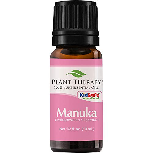 Plant Therapy Manuka Essential Oil 10 mL 1 3 oz 100 Pure Undiluted Therapeutic Grade Plant Therapy Manuka Essential Oil 10 mL 1 3 oz 100 Pure Undiluted Therapeutic Grade