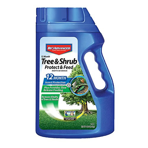 Bayer Advanced 701900 12 Month Tree and Shrub Protect and Feed Granules, 4-Pound (NY Formula) Bayer Advanced 701900 12 Month Tree and Shrub Protect and Feed Granules, 4-Pound (NY Formula)