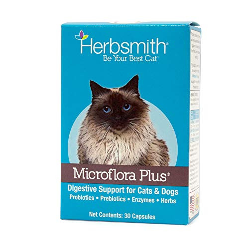 Herbsmith Microflora Plus  4 in 1 Complete Cat Digestive Aid  Cat Prebiotics and Probiotics  Cat Probiotics for Diarrhea   30 Capsules