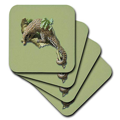 3dRose CST 170873 2 Vintage Pangolin or Scaly Anteater in a Tree Soft Coasters  Set of 8