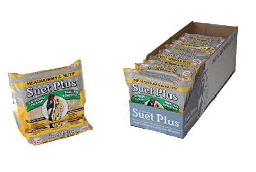 Suet Plus Suet Cakes 12 Pack of 11 oz Bird Suet Cakes  Mealworm and Nut