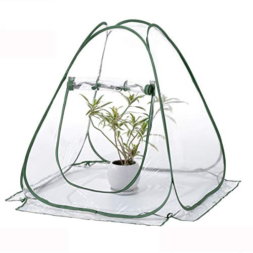 TECHSON Mini Pop-up Greenhouse with Clear Cover Protected Plant Grow House, Portable Flower Tent Shelter for Garden Outdoor Backyard