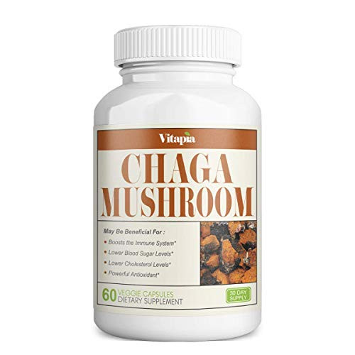 Vitapia Chaga Mushroom 1000mg per Serving   60 Veggie Capsules   Vegan and Non GMO   Chaga Extract Supplement   Supports Immune System  Powerful Antioxidant  Healthy Blood Sugar  Healthy Cholesterol