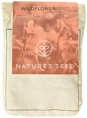 Nature s Seed Northeast Wildflower Blend  1000 sq  ft