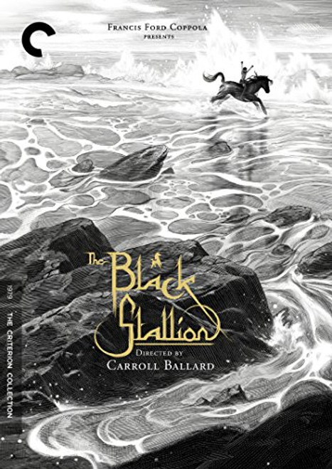 The Black Stallion The Black Stallion