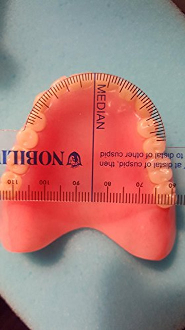 3 Pack Flexible Ruler Dentsply Denture Trubyte Millimeter Dental Lab