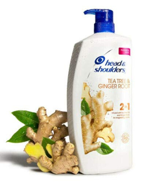 Head Shoulders Tea Tree Ginger Root 2 in 1 Shampoo Conditioner 40 FL Oz Head Shoulders Tea Tree Ginger Root 2 in 1 Shampoo Conditioner 40 FL Oz