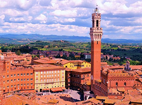 Adult Jigsaw Puzzle Piazza del Campo Siena Tuscany Italy 500-Pieces