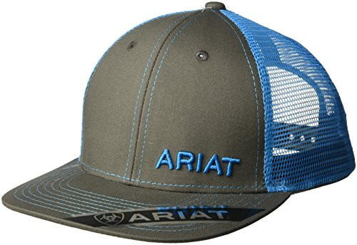 ARIAT Men s Mesh Snap Back Hat  Blue  One Size