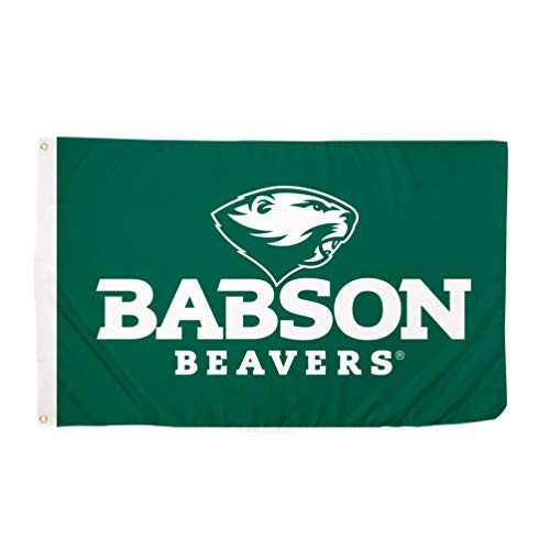 Desert Cactus Babson College Beavers NCAA 100 Polyester Indoor Outdoor 3 feet x 5 feet Flag