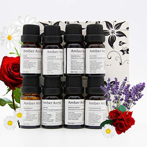 8 Essential Oil Set for Diffuser  Rose Jasmine Vetiver Sandalwood Chamomile Frankincense Lavender Rosemary    100 Pure Organic Plant Oil 10mlx8