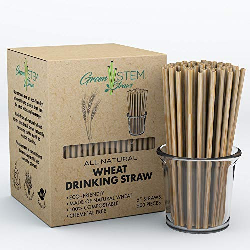 Green Stem Plant Based Drinking Straws  All Natural  Biodegradable  Eco Friendly Disposable Wheat Straws  Organic  Chemical Free Alternative to Plastic Straws  5   500 Pack