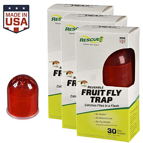 RESCUE Indoor Non Toxic Reusable Fruit Fly Trap with Liquid Attractant   3 Pack  3 Traps