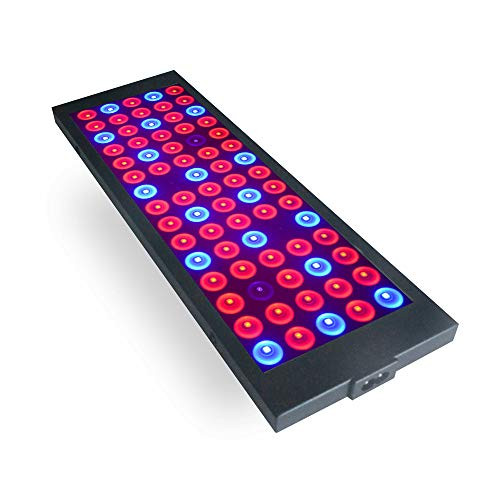 40W Full Spectrum LED Grow Lights  LEDs Indoor Plants Light Full Spectrum with Red Blue for Seedling  Vegetative and Flowering