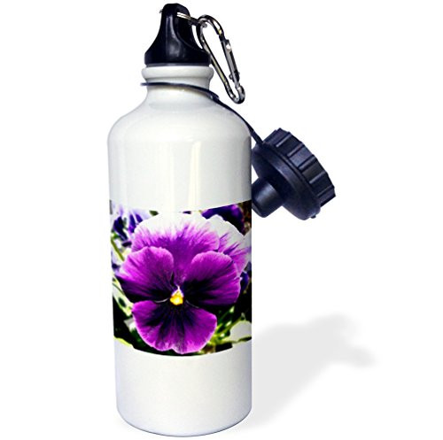 3dRose Giant Purple Pansy Sports Water Bottle 21oz 21 oz Multicolor 3dRose Giant Purple Pansy Sports Water Bottle 21oz 21 oz Multicolor