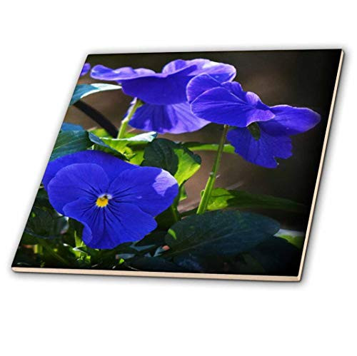 3dRose ct 201713 3 Blue Purple Pansies Beautiful Indigo Colored Flowers Ceramic Tile  8