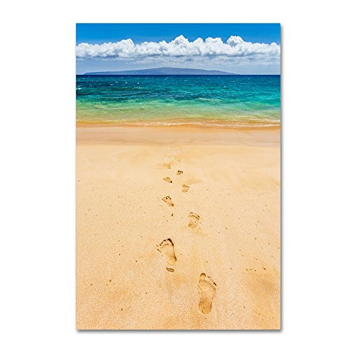 Trademark Fine Art Footprints in the Sand by Pierre Leclerc, 16x24-Inch Canvas Wall Art Trademark Fine Art Footprints in the Sand by Pierre Leclerc, 16x24-Inch Canvas Wall Art