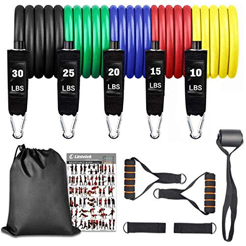 Lintelek Resistance Bands Set  Exercise Bands with Door Anchor  Handles  Legs Ankle Straps for Resistance Training  Physical Therapy  Home Workouts  Yoga