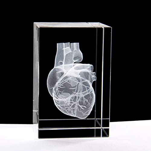 3D Human Heart Anatomical Model Paperweight Laser Etched  in Crystal Glass Cube Science Gift  No Included LED Base  3 1x2x2 inch