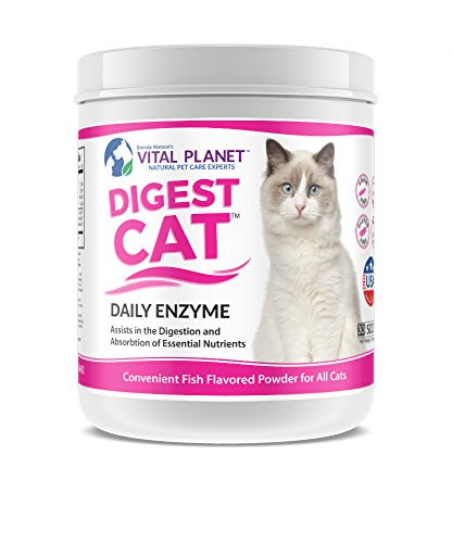 Vital Planet Digest Cat   Digestive Support for Cats   Powerful Digestive Enzyme Blend for Cats   75 Grams 30 Scoops