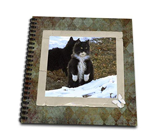 3dRose db_180843_1 Black and White Kitten Standing on Her Back Legsin The Snow Drawing Book, 8 by 8-Inch 3dRose db_180843_1 Black and White Kitten Standing on Her Back Legsin The Snow Drawing Book, 8 by 8-Inch