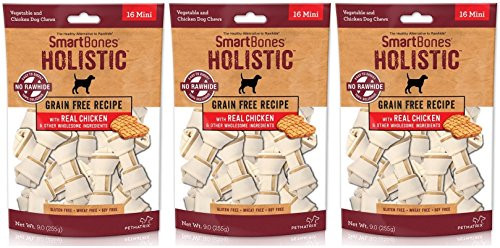SmartBones  3 Pack  Holistic Rawhide Free Dog Chews  Gluten Wheat Soy Free  16 Mini Bones Per Pack