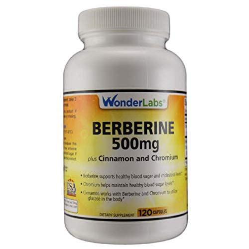 Premium Berberine Supplement  500 mg of Berberine Per Serving  Non GMO Berberine HCI Supplement  Powerful Berberine Health Formula