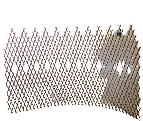 Master Garden Products Peeled Willow Picket Pattern Lattice Trellis Fence, 72 by 48-Inch, Light Mahogany Color