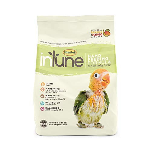 Higgins Intune Natural Hand Feeding Baby Bird Food  5 lb