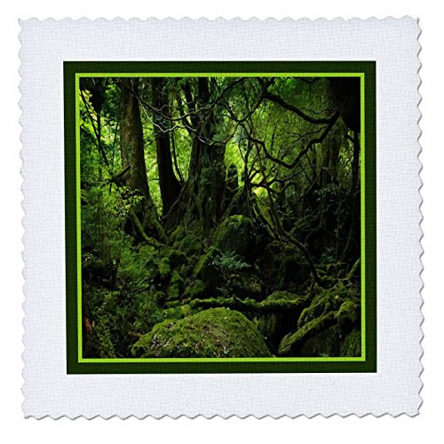 3dRose qs 14906 10 Music of Flute and Keys Quilt Square  25 by 25 Inch