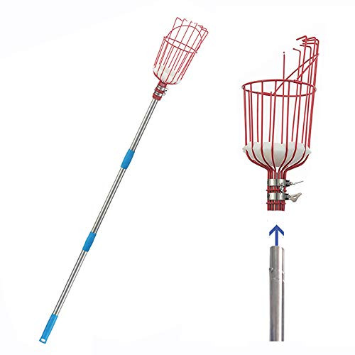 INFLATION Fruit Picker  Long Reach Adjustable Picker Pole with Twist On Basket  Lightweight Tree Fruit Harvester Picking Tool Equipment for Apple Orange Pear Lemon Peach  13FT