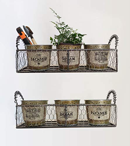 RISEON Set of 2 Vintage Galvanized Metal Planter Flower Pot Tray Caddy Rustic Chicken Wire Organizer Caddy with Planter Bucket for Desk Kitchen Farmhouse Decor Windowsill Planter for Succulent  Herb