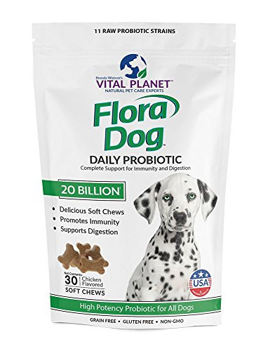 Vital Planet   Flora Dog Soft Chews   Natural Probiotic Support for Immunity and Digestion   30 Chews