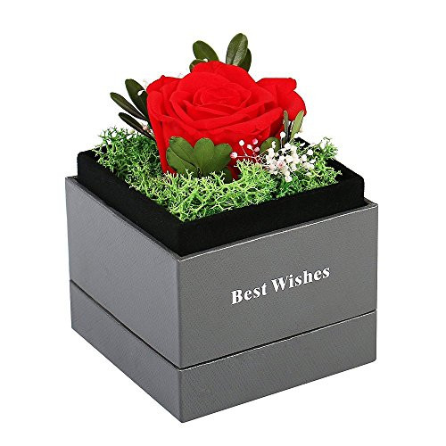 Handmade Preserved Flower Rose - Preserved Fresh Flower Eternity Rose, Never Withered Real Rose, Gift for Valentine's Day, Mother's Day, Thanksgiving Day, Christmas, Birthday, Anniversary (Red)
