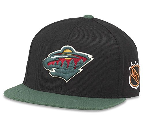 American Needle Minnesota Wild Blockhead 2 Tone Adjustable Snapback Hat   NHL  Adjustable Flat Bill Cap