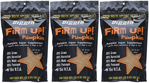 Diggin Your Dog gReDFn Firm Up Pumpkin Supplement Vegetable 9 5H X 6 5W X 2 5D Pack of 3 Diggin Your Dog gReDFn Firm Up Pumpkin Supplement Vegetable 9 5H X 6 5W X 2 5D Pack of 3