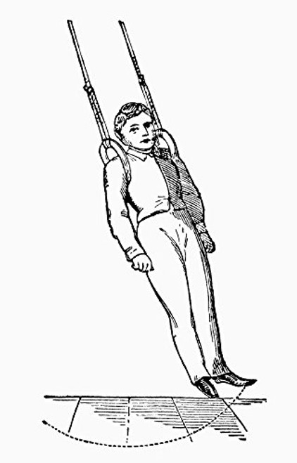 Gymnastic Exercise Nline Engraving American Late 19Th Century Poster Print by 18 x 24 Gymnastic Exercise Nline Engraving American Late 19Th Century Poster Print by 18 x 24