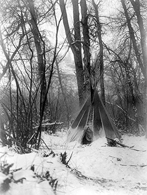 Hidatsa Tipi C1908 Na Hidatsa Native American Tipi In The Woods Of North Dakota During Winter Photographed By Edward S Curtis C1908 Poster Print by 18 x 24 Hidatsa Tipi C1908 Na Hidatsa Native American Tipi In The Woods Of North Dakota During Winter Photographed By Edward S Curtis C1908 Poster Print by 18 x 24