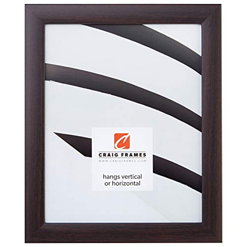 Craig Frames 23247778 19 by 25 Inch Picture Frame  Smooth Wrap Finish  1 Inch Wide  Brazilian Walnut Brown