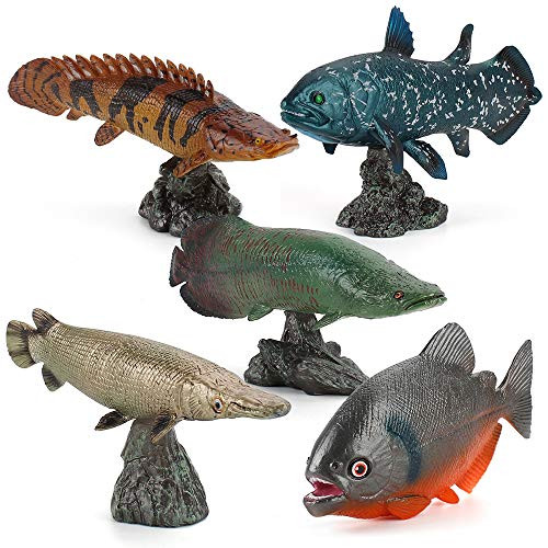 Fantarea Realistic 5 PCS Ocean Sea Marine Sea Animal Model Figure Pirarucu Alligator Gar Coelacanth Figurine Desktop Decoration Party Supplies Cake Toppers Bath Toy for Kid Boy Girl 5 6 7 8 Year Old Fantarea Realistic 5 PCS Ocean Sea Marine Sea Animal Model Figure Pirarucu Alligator Gar Coelacanth Figurine Desktop Decoration Party Supplies Cake Toppers Bath Toy for Kid Boy Girl 5 6 7 8 Year Old